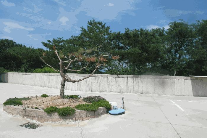 논산시 부적면 신교리 단독주택 경매 물건 사진