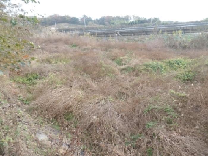 논산시 은진면 용산리 대지 경매 물건 사진
