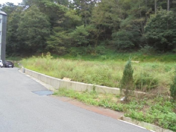 부여군 부여읍 쌍북리 전 경매 물건 사진