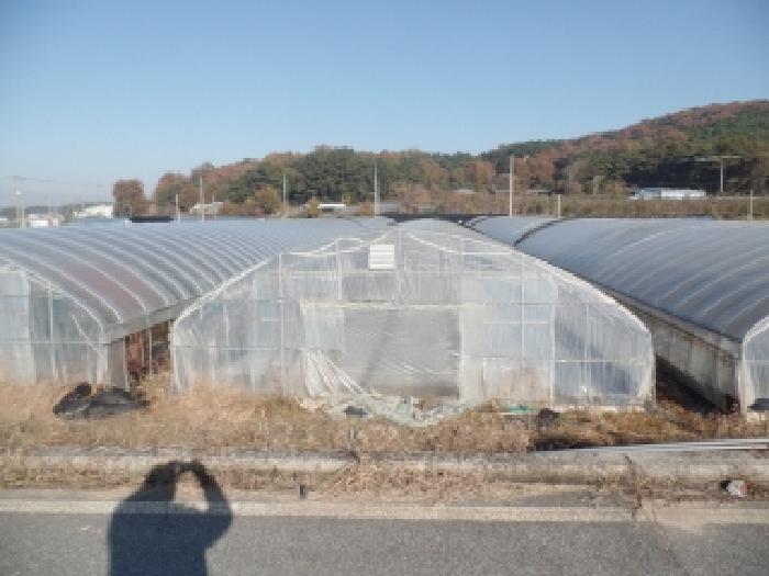 논산시 은진면 시묘리 답 경매 물건 사진