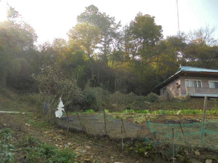 부여군 임천면 가신리 대지 경매 물건 사진