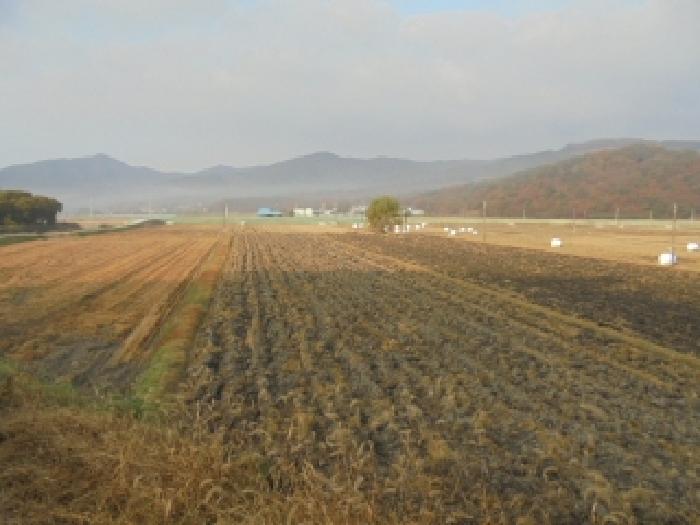 부여군 외산면 복덕리 전답 경매 물건 사진