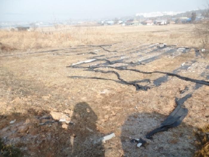 논산시 양촌면 신흥리 전답 경매 물건 사진