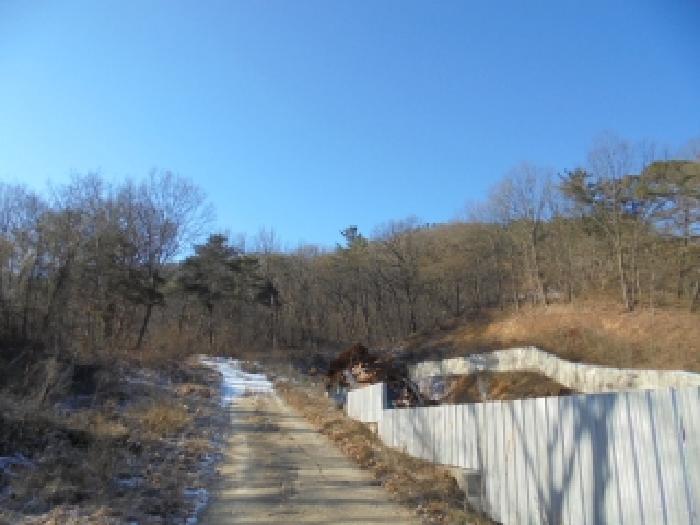 부여군 부여읍 능산리 임야 경매 물건 사진