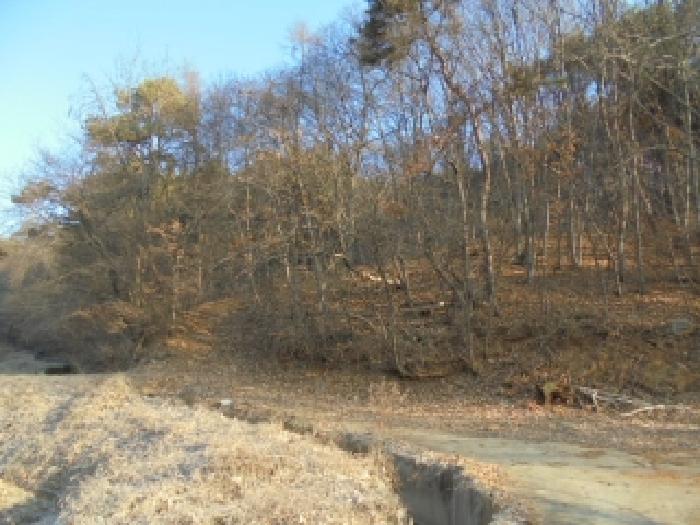 부여군 충화면 천당리 임야 경매 물건 사진