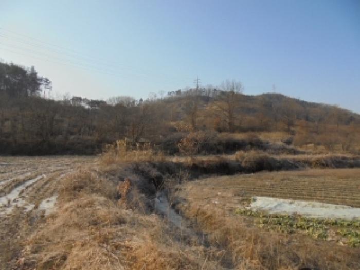 부여군 장암면 상황리 임야 경매 물건 사진