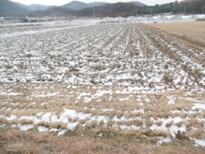 논산시 연무읍 양지리 전답 경매 물건 사진