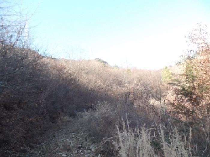 논산시 벌곡면 한삼천리 임야 경매 물건 사진
