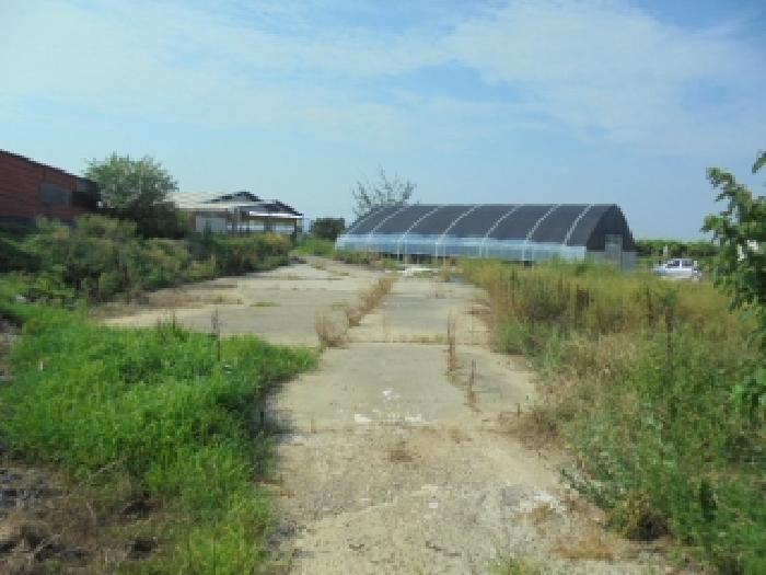 부여군 규암면 내리 동물및식물관련시설 경매 물건 사진
