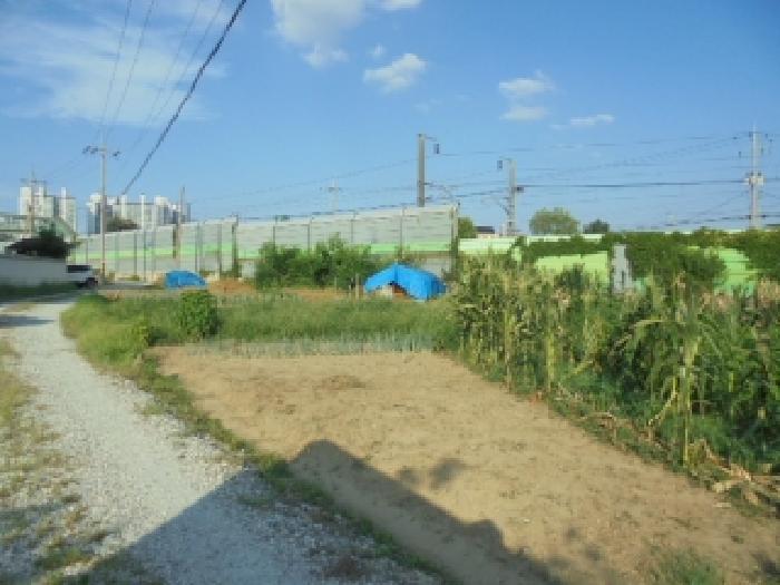 논산시 부창동 371 전 경매 물건 사진