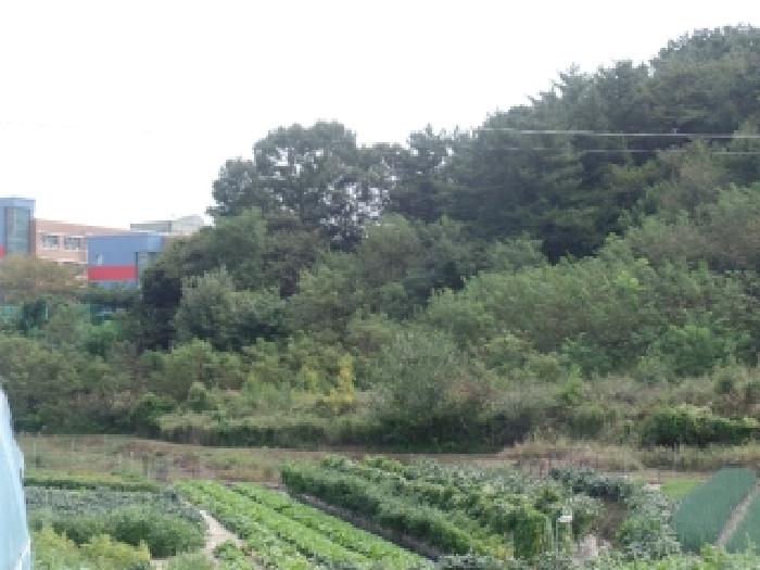 계룡시 엄사면 엄사리 임야 경매 물건 사진
