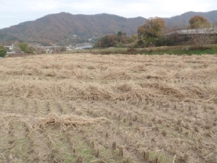 논산시 연산면 신암리 답 경매 물건 사진