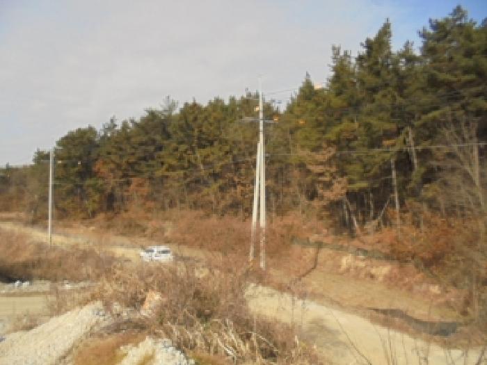 부여군 세도면 사산리 임야 경매 물건 사진