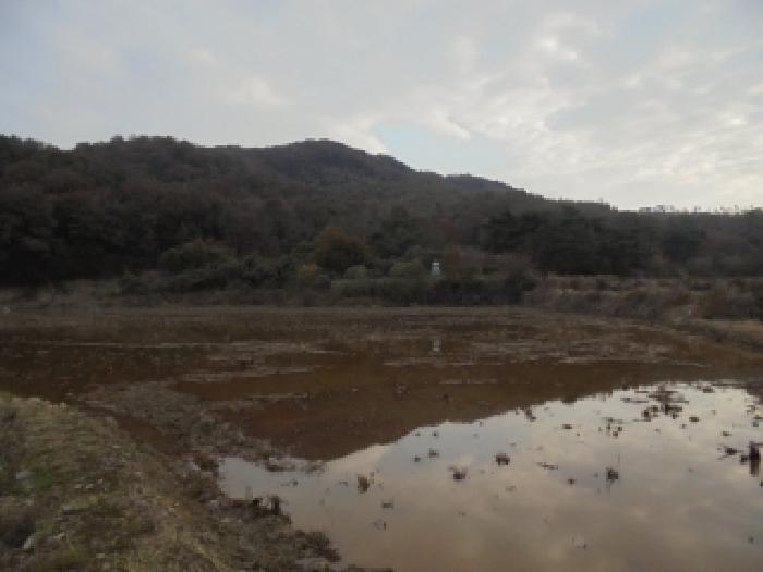논산시 상월면 한천리 전답 경매 물건 사진