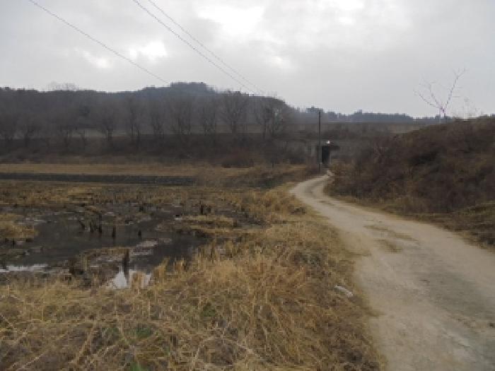 부여군 은산면 경둔리 임야 경매 물건 사진