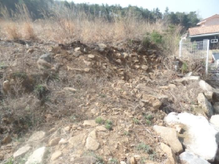 논산시 벌곡면 수락리 임야 경매 물건 사진