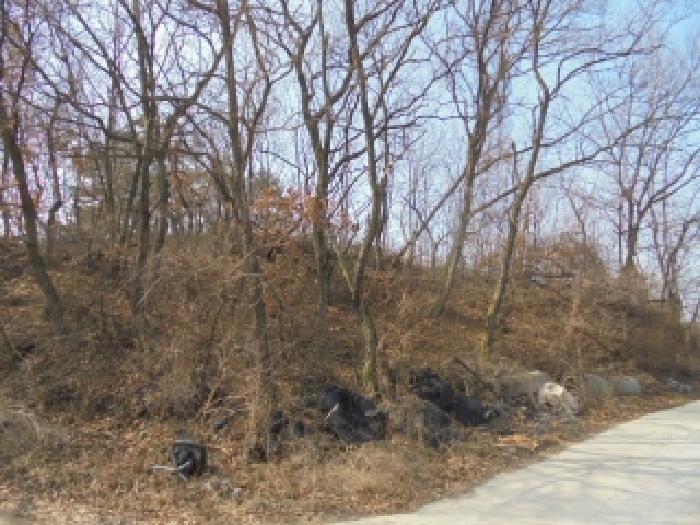 논산시 성동면 병촌리 임야 경매 물건 사진