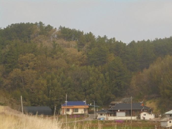 부여군 양화면 내성리 임야 경매 물건 사진