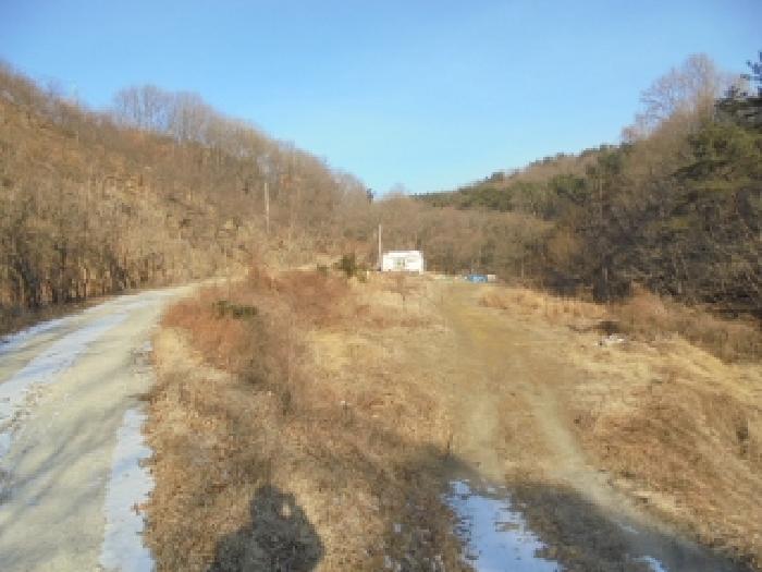 부여군 은산면 나령리 전답 경매 물건 사진