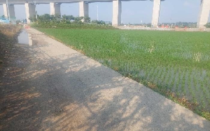 아산시 둔포면 운용리 전답 경매 물건 사진