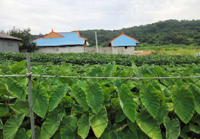 아산시 염치읍 쌍죽리 전답 경매 물건 사진