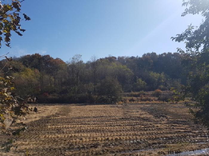 천안시 동남구 수신면 전 경매 물건 사진
