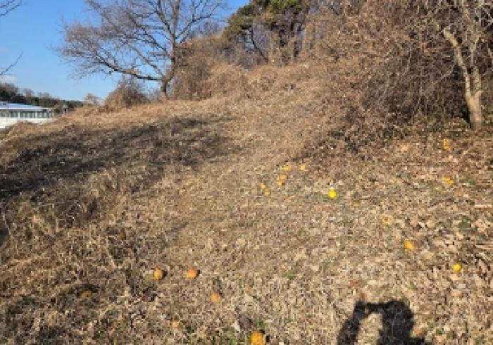 아산시 인주면 해암리 전답 경매 물건 사진