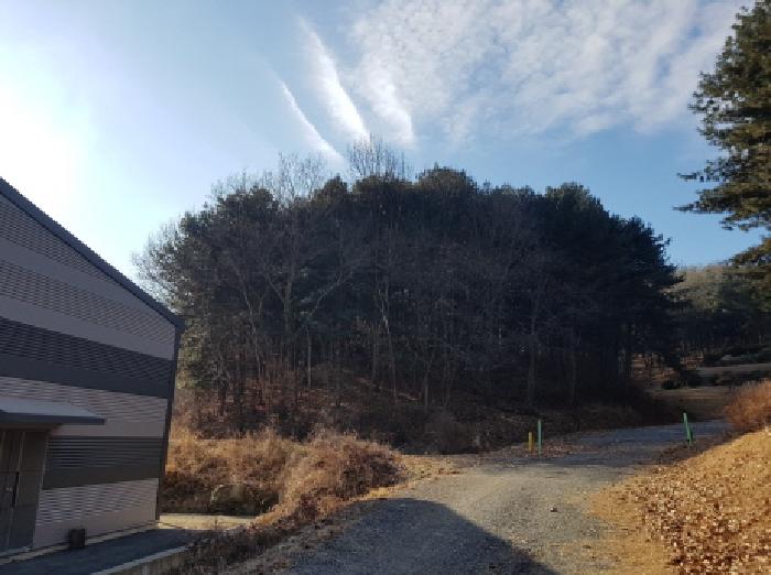 천안시 동남구 목천읍 임야 경매 물건 사진