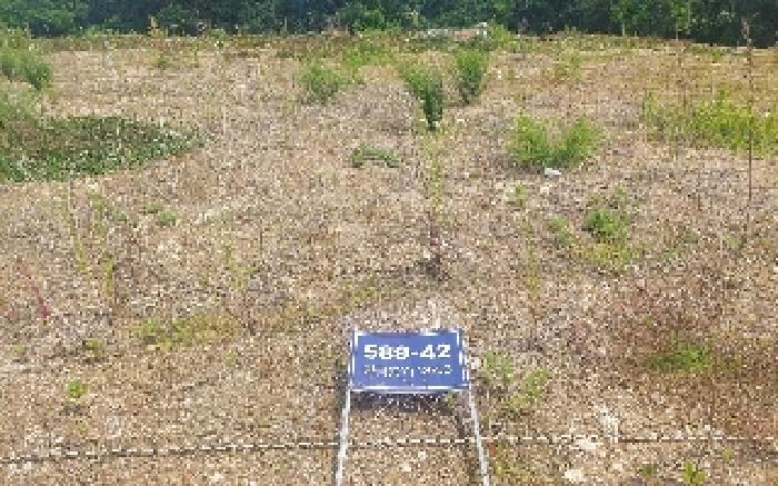 아산시 음봉면 송촌리 단독주택 경매 물건 사진