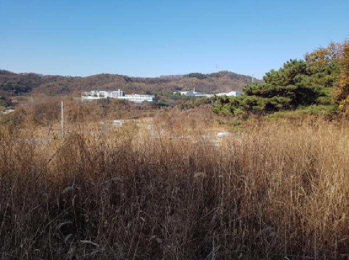 천안시 동남구 목천읍 대지 경매 물건 사진