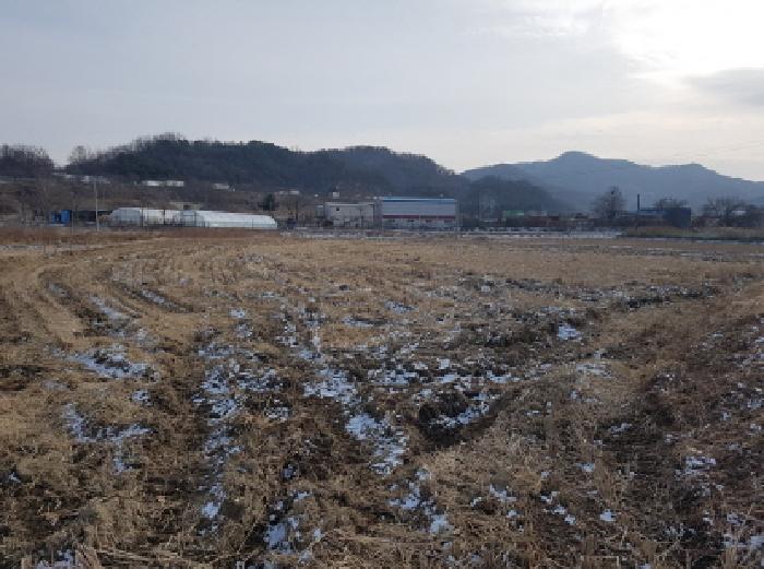 천안시 동남구 광덕면 전답 경매 물건 사진