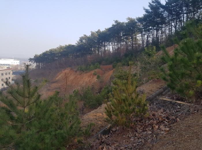 천안시 동남구 풍세면 도로 경매 물건 사진