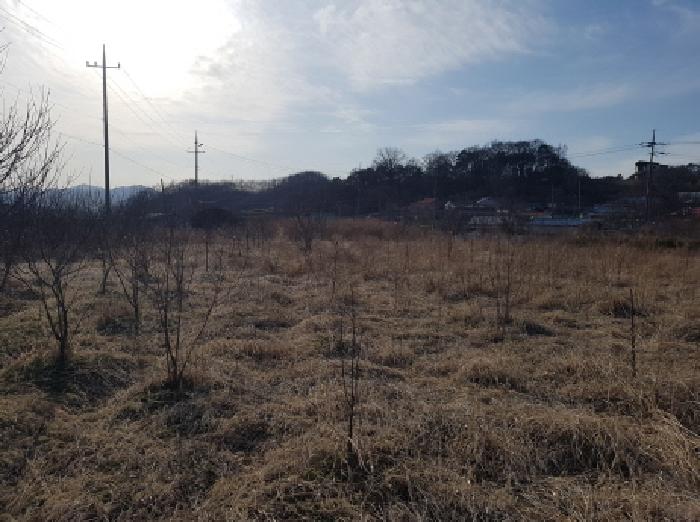 천안시 동남구 풍세면 대지,임야,전답 경매 물건 사진