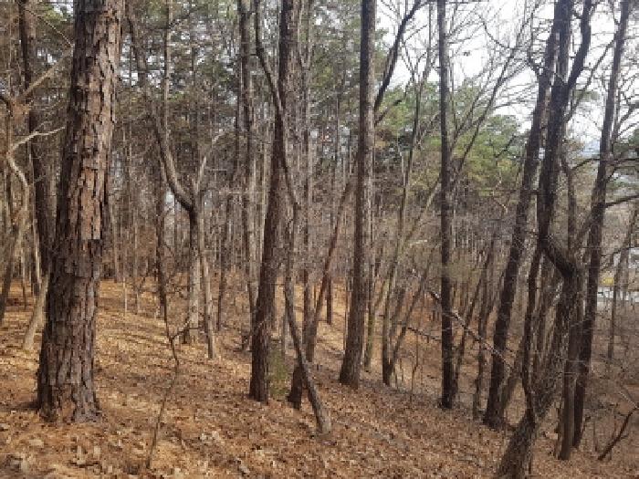 천안시 동남구 성남면 임야 경매 물건 사진