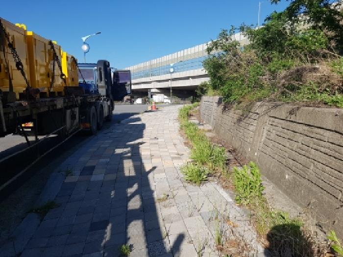 천안시 동남구 구룡동 임야 경매 물건 사진