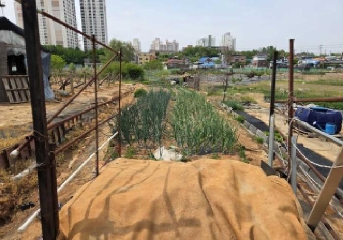아산시 실옥동 160-6 전답 경매 물건 사진