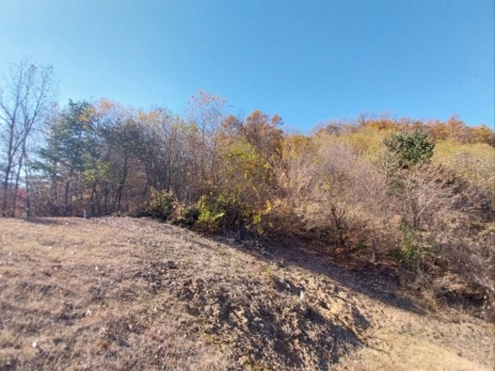 공주시 계룡면 기산리 임야 경매 물건 사진