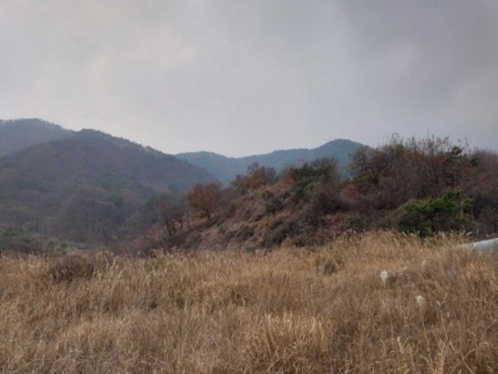 공주시 사곡면 가교리 임야 경매 물건 사진