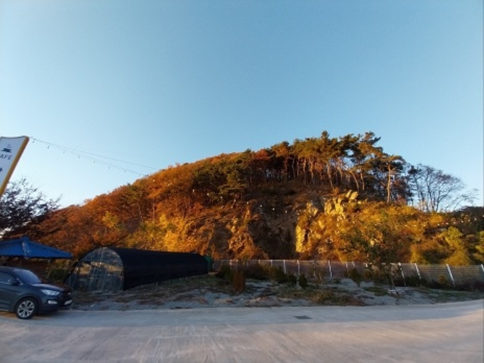 공주시 무릉동 산79-3 임야 경매 물건 사진