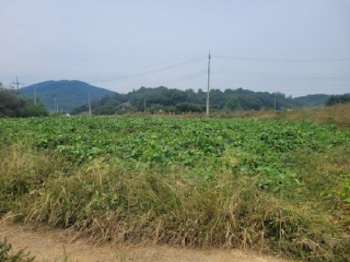 청양군 정산면 학암리 전답 경매 물건 사진