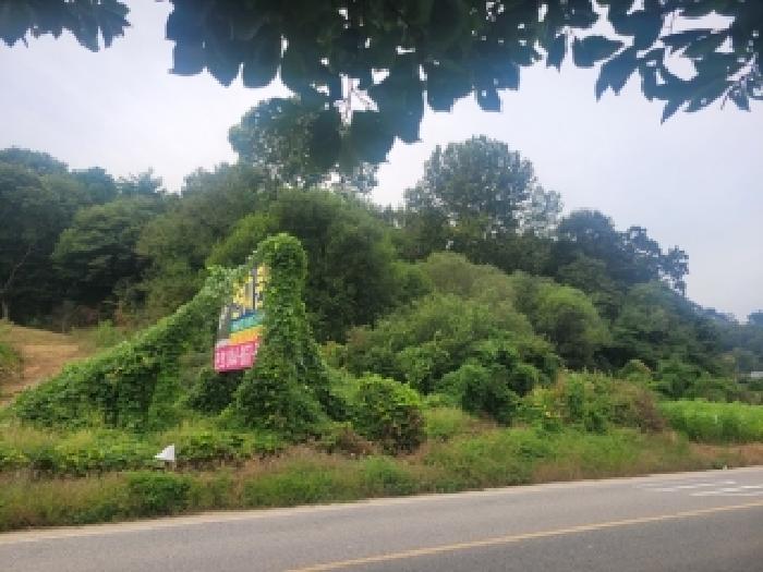 공주시 계룡면 봉명리 임야 경매 물건 사진