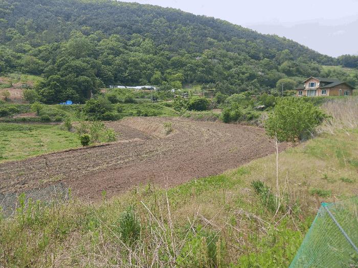 공주시 유구읍 세동리 답 경매 물건 사진