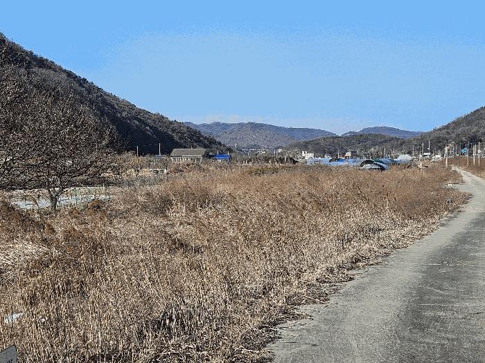 공주시 반포면 온천리 전 경매 물건 사진