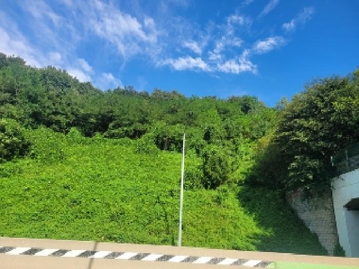 공주시 의당면 중흥리 대지,임야,전답 경매 물건 사진