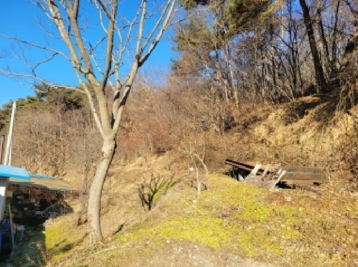 공주시 이인면 만수리 대지,임야,전답 경매 물건 사진