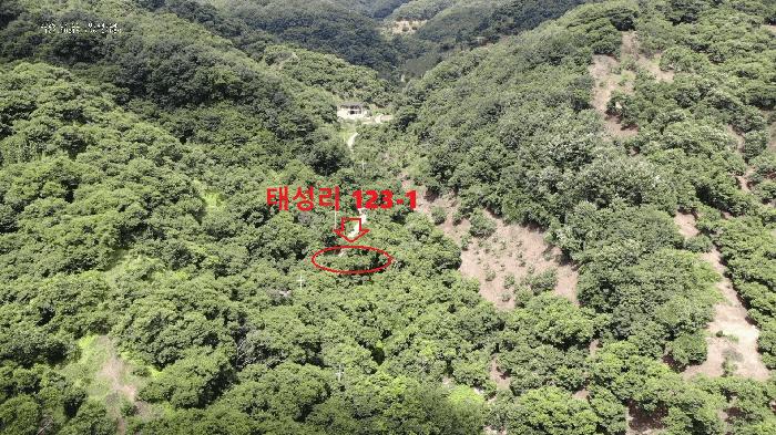 공주시 정안면 태성리 답 경매 물건 사진