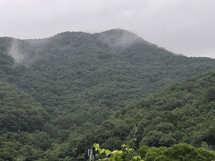 공주시 우성면 죽당리 임야 경매 물건 사진