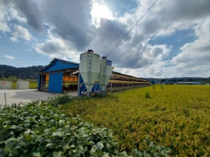 청양군 장평면 구룡리 동물및식물관련시설 경매 물건 사진