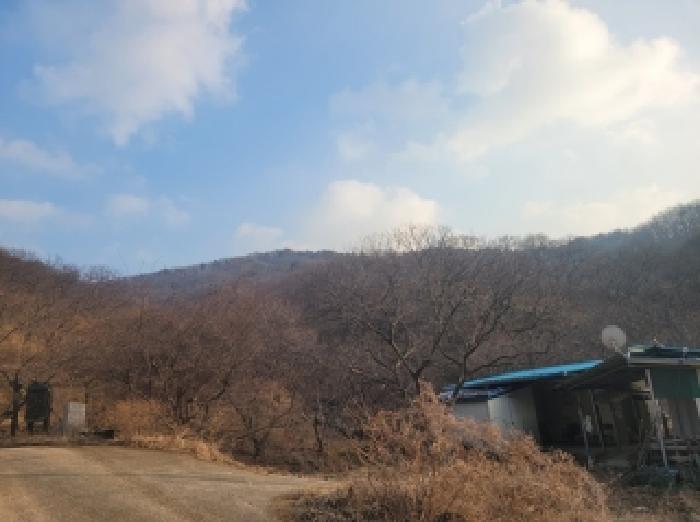 공주시 사곡면 월가리 임야 경매 물건 사진