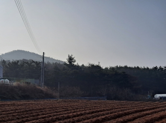 서산시 대산읍 운산리 임야 경매 물건 사진